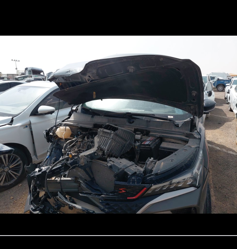 جيلي كول راي  2024 image