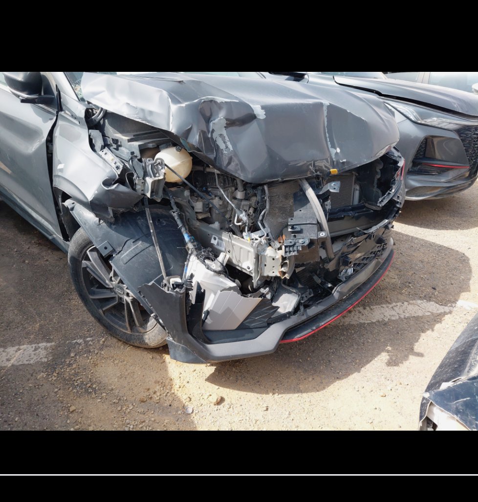 جيلي كول راي  2024 image