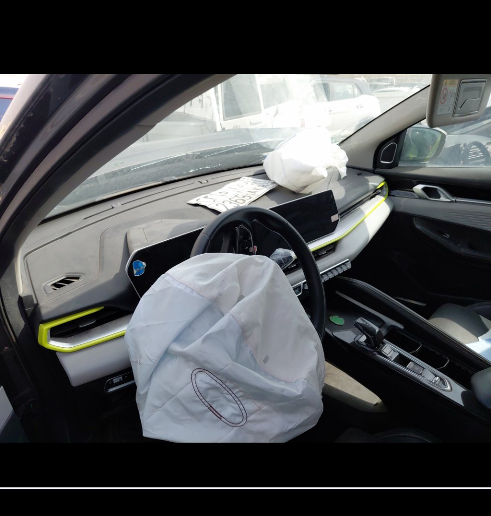 جيلي كول راي  2024 image