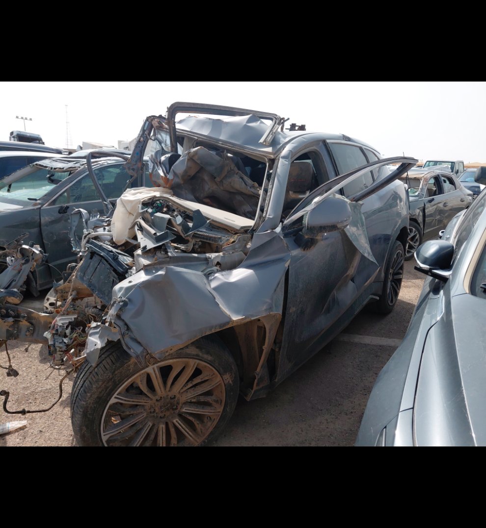 جيتور داشينغ  2024 image