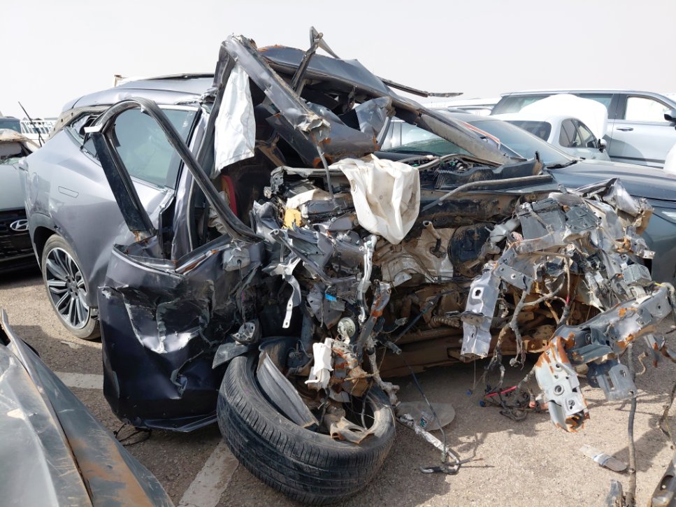 جيتور داشينغ  2024 image