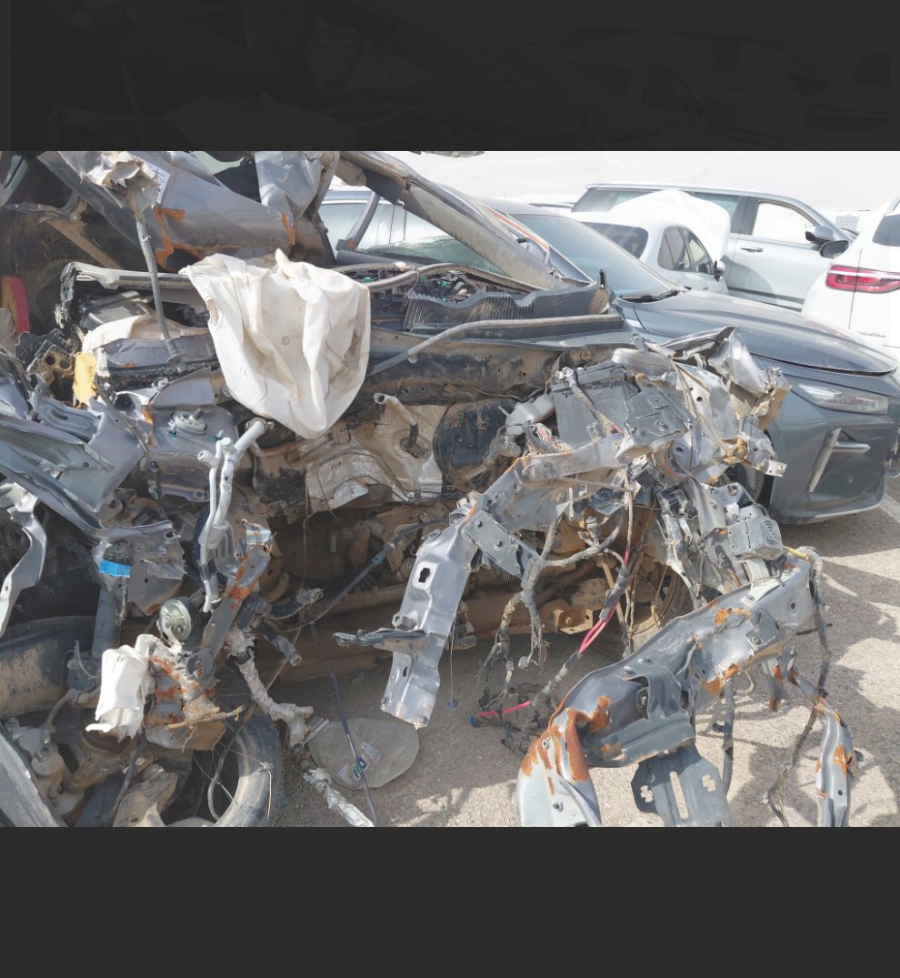 جيتور داشينغ  2024 image