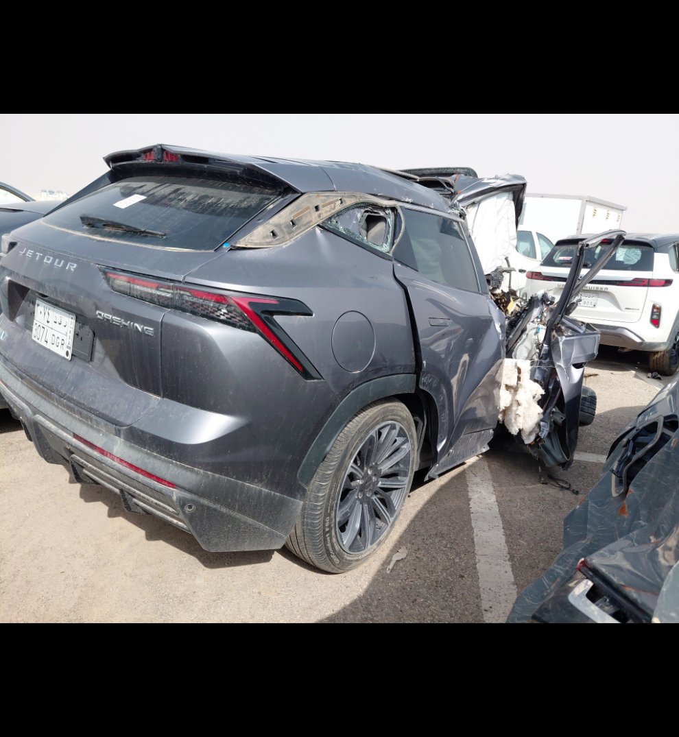 جيتور داشينغ  2024 image