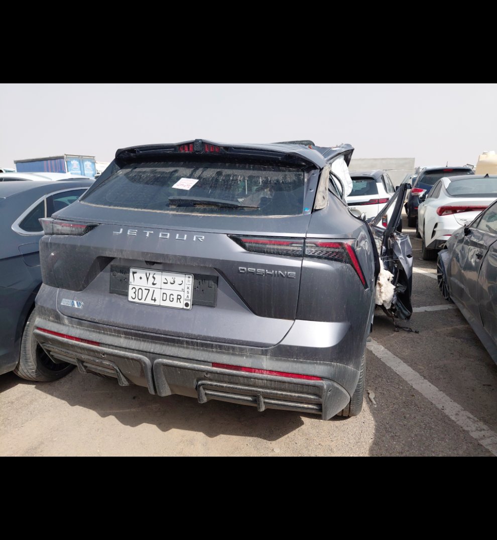 جيتور داشينغ  2024 image