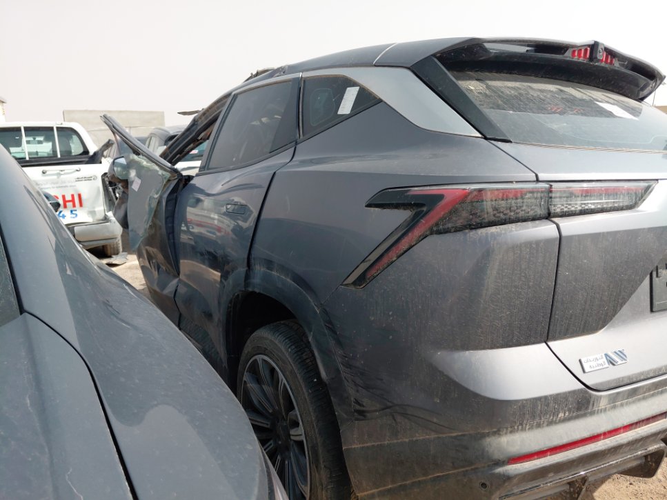 جيتور داشينغ  2024 image