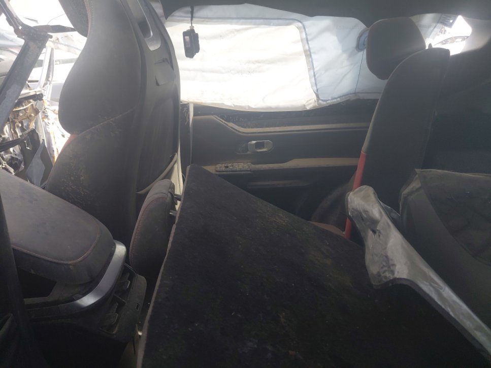 جيتور داشينغ  2024 image