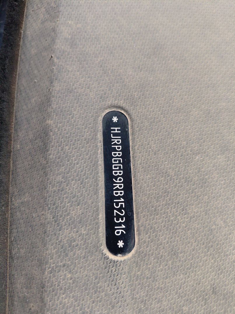 جيتور داشينغ  2024 image