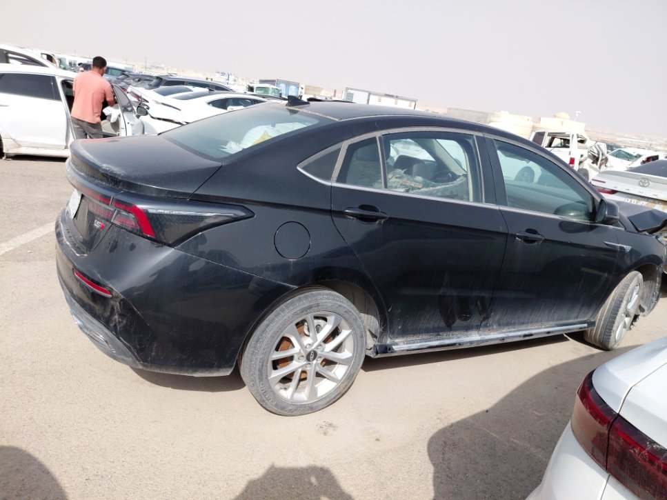 شيري أريزو 6  2023 image