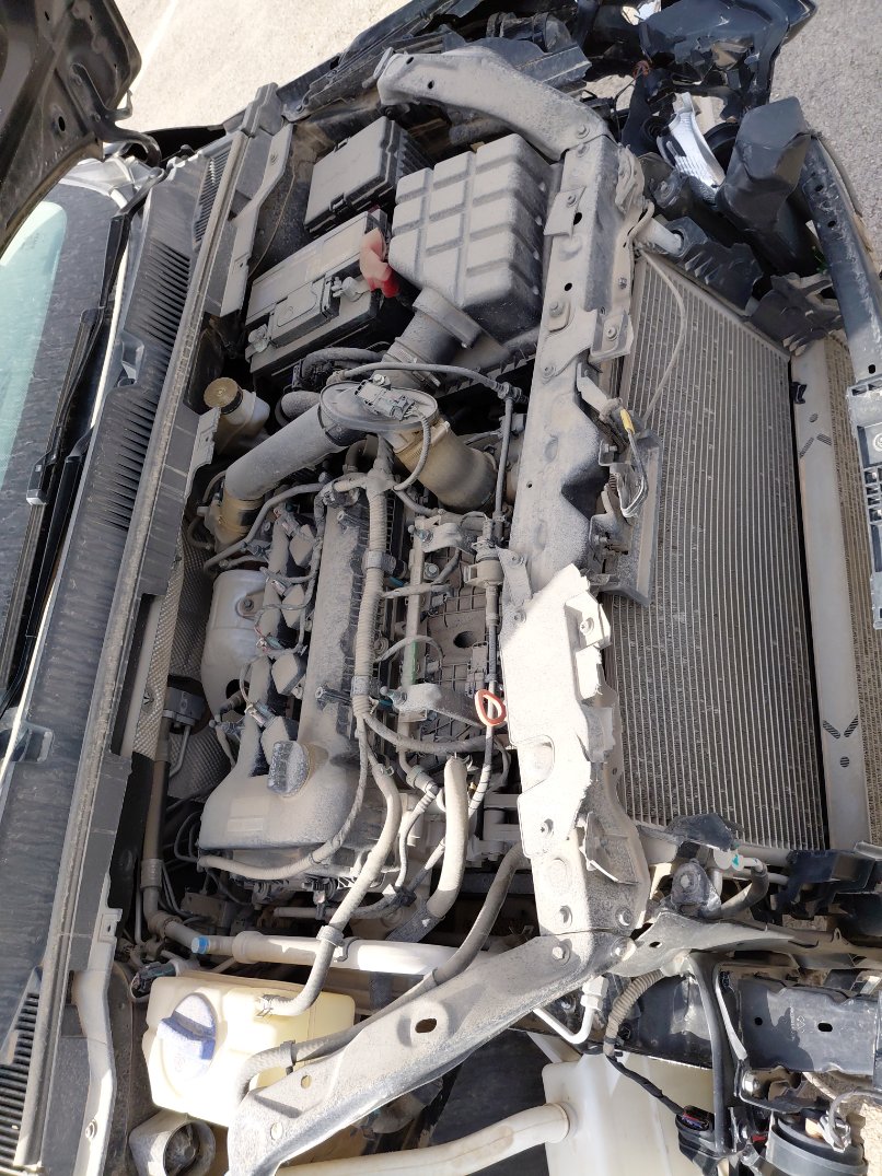 شيري أريزو 6  2023 image