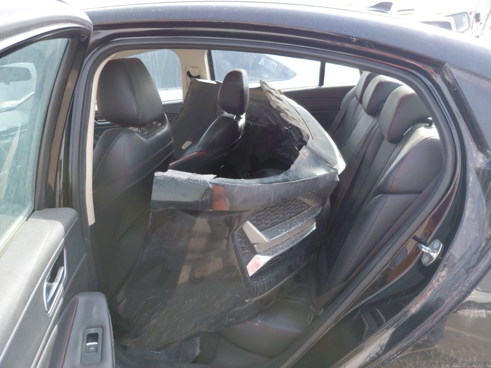 شيري أريزو 6  2023 image