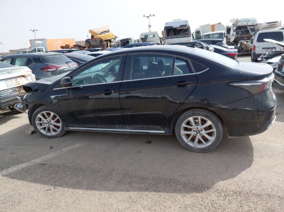 شيري أريزو 6  2023 image