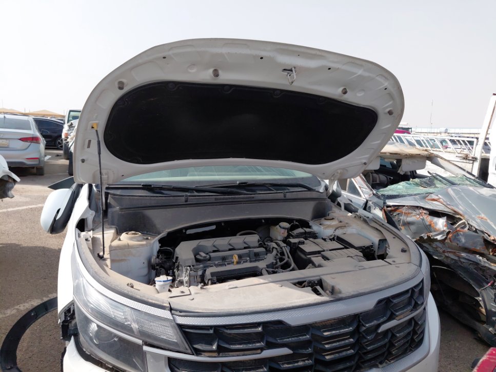 كيا Seltos  2024 image