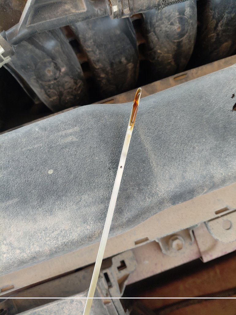 تويوتا كورولا XLI EXE 2024 image