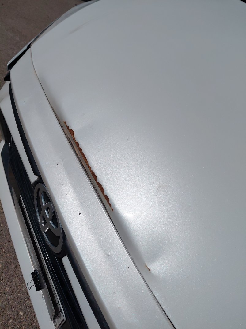 تويوتا يارس Y 2024 image