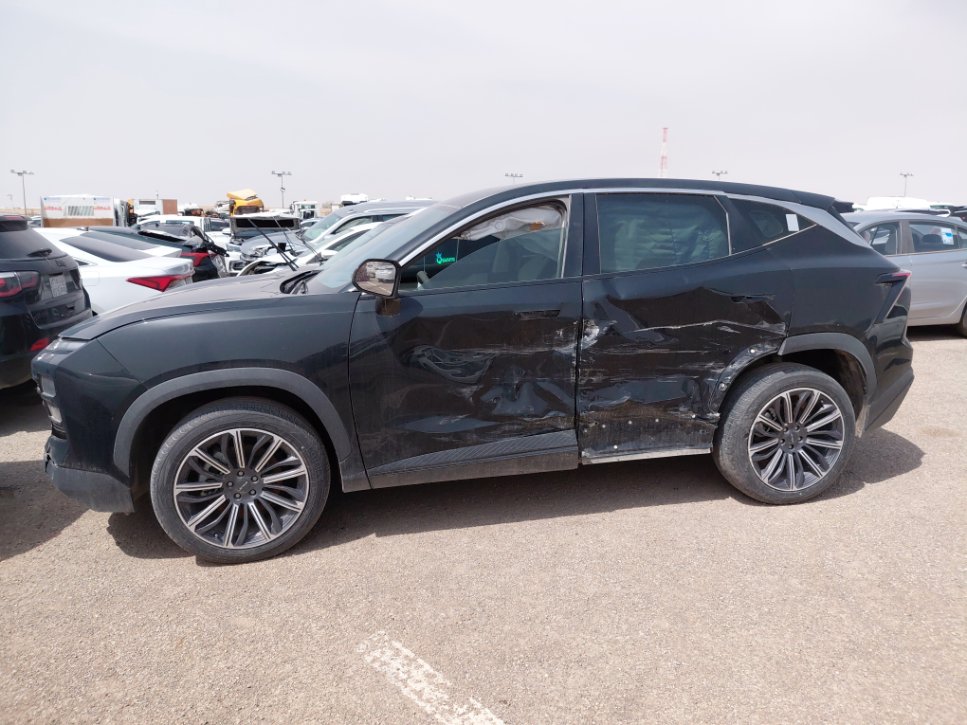 جيتور داشينغ  2024 image