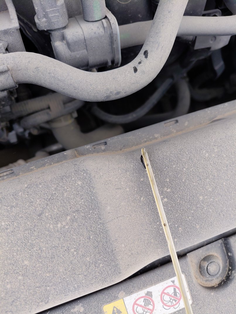 تويوتا كورولا XLI EXE 2024 image