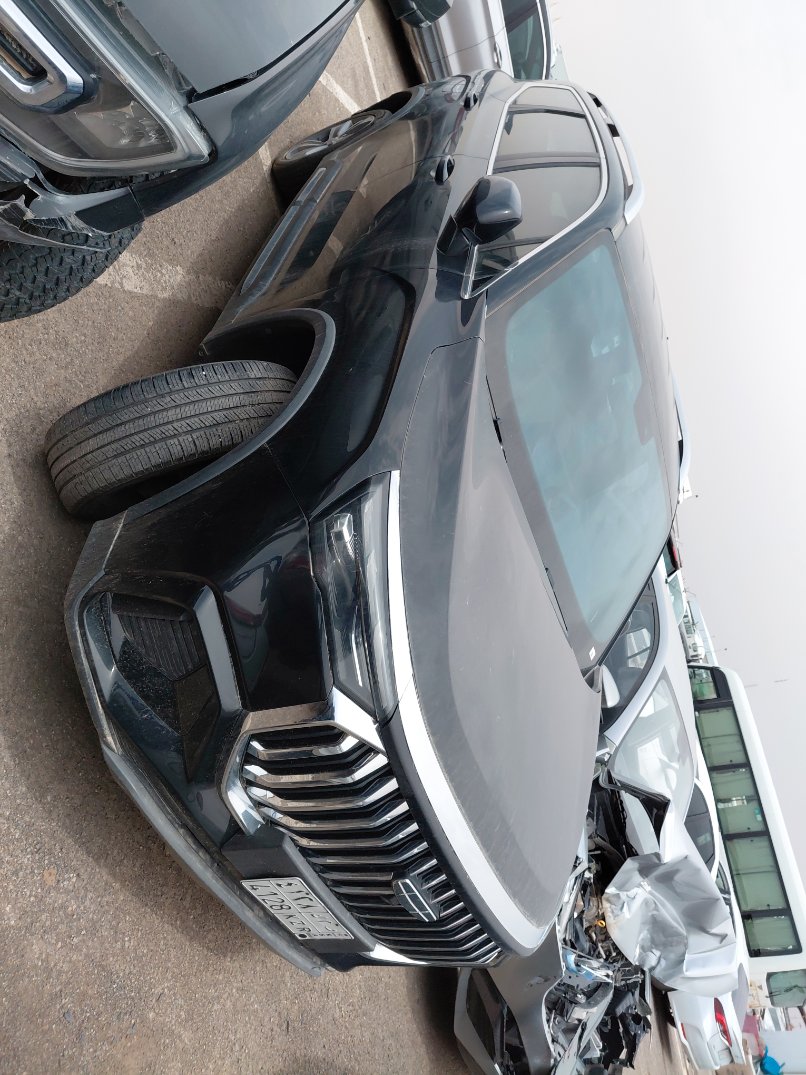 جيلي اوكافانجو  2024 image