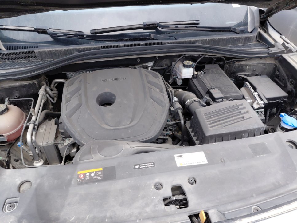 جيلي اوكافانجو  2024 image