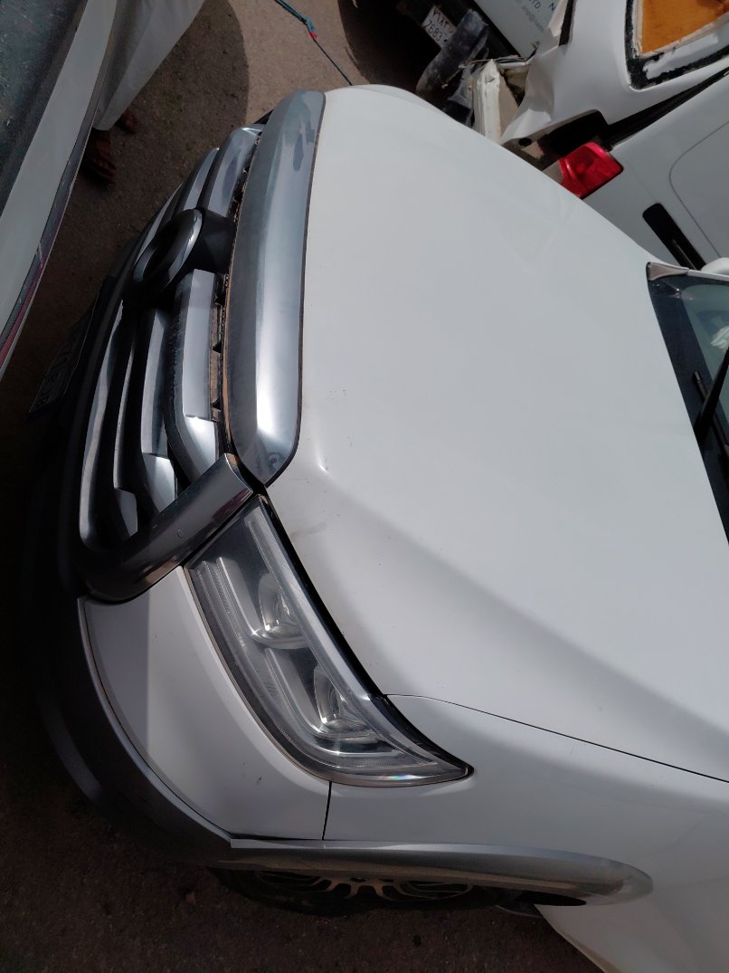 جريت وول باور كينج كونج  2021 image