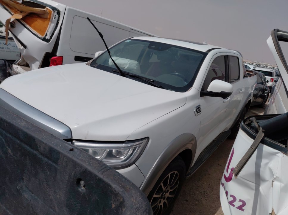 جريت وول باور كينج كونج  2021 image