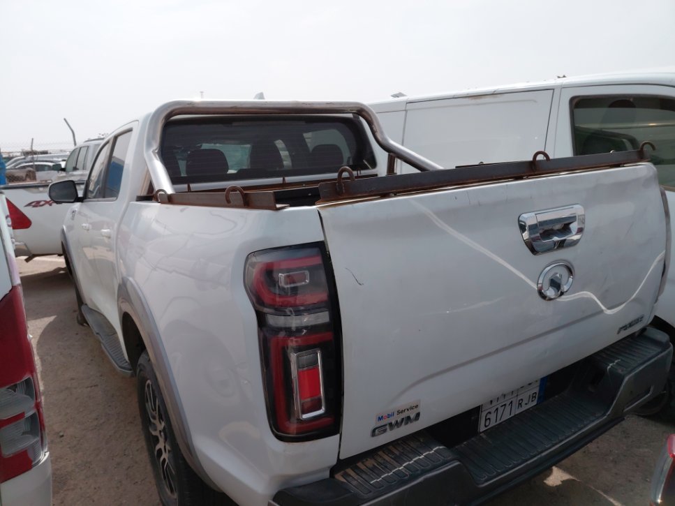 جريت وول باور كينج كونج  2021 image