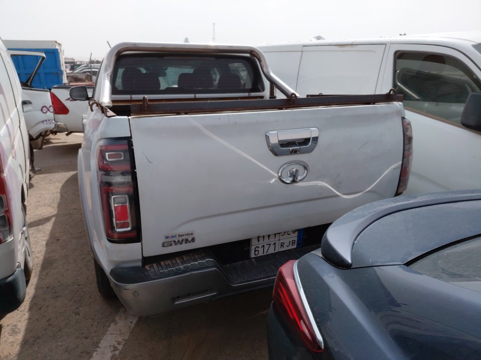 جريت وول باور كينج كونج  2021 image