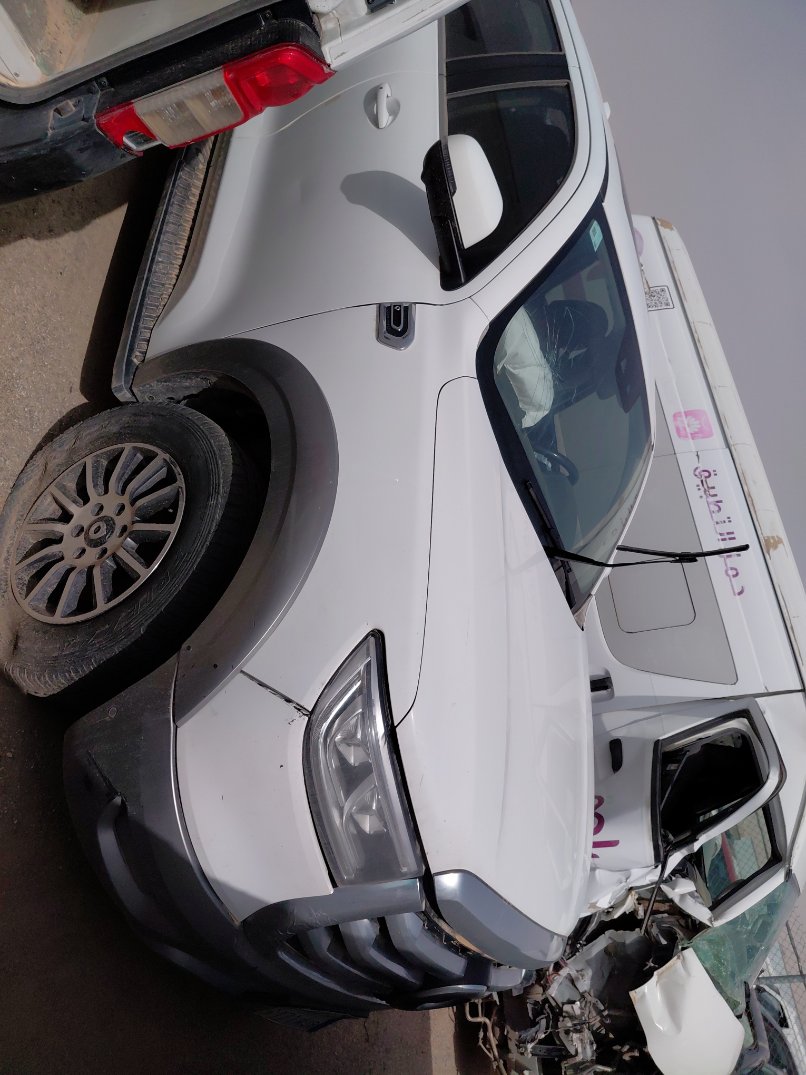 جريت وول باور كينج كونج  2021 image