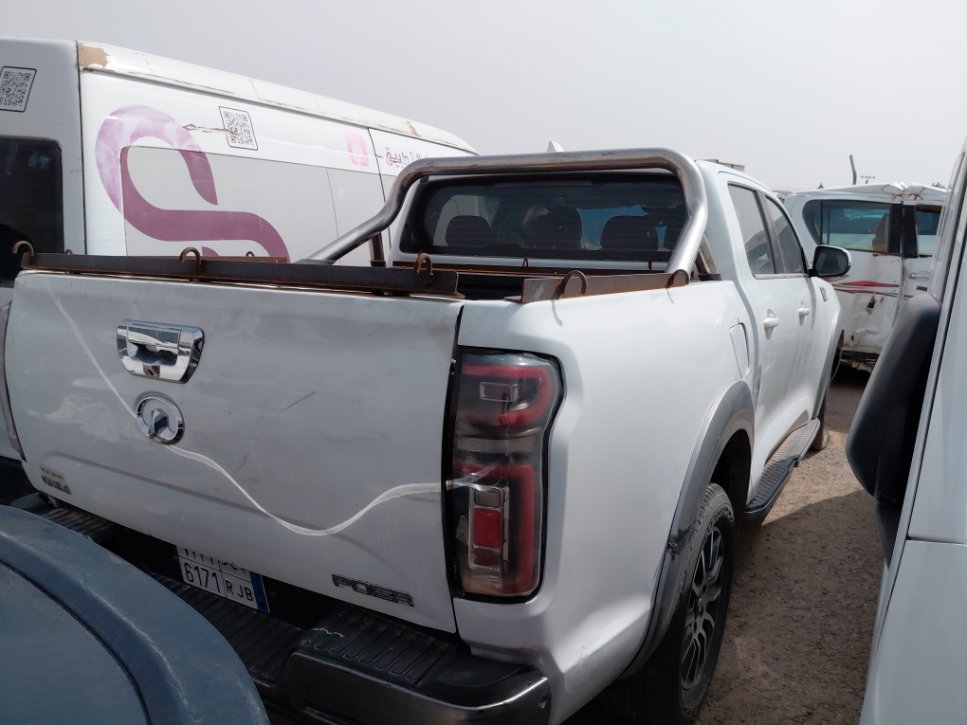 جريت وول باور كينج كونج  2021 image