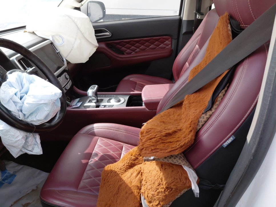 جريت وول باور كينج كونج  2021 image