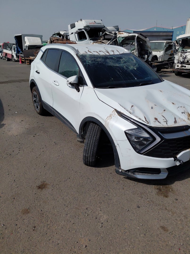 KIA Sportage  2025 image