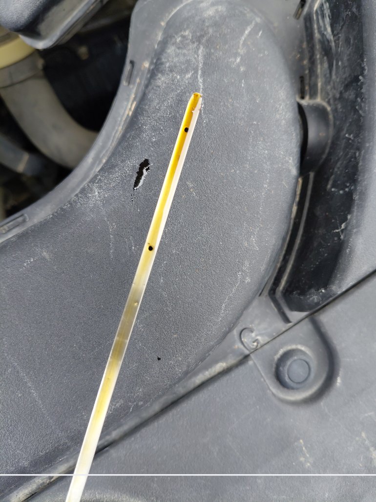 تويوتا كورولا XLI EXECUTIVE M/R 2021 image