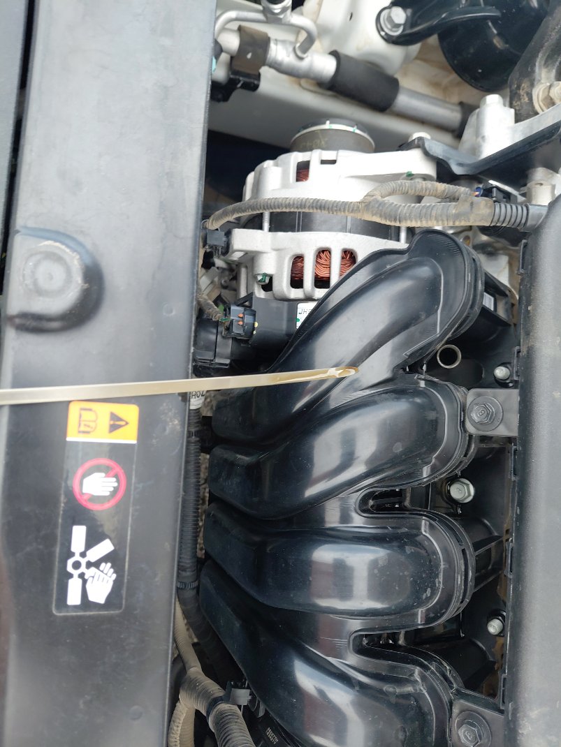 كيا بيجاس  2023 image