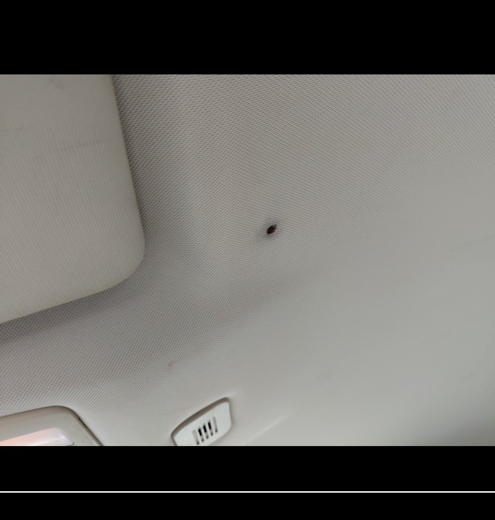 إم جي 5  2022 image