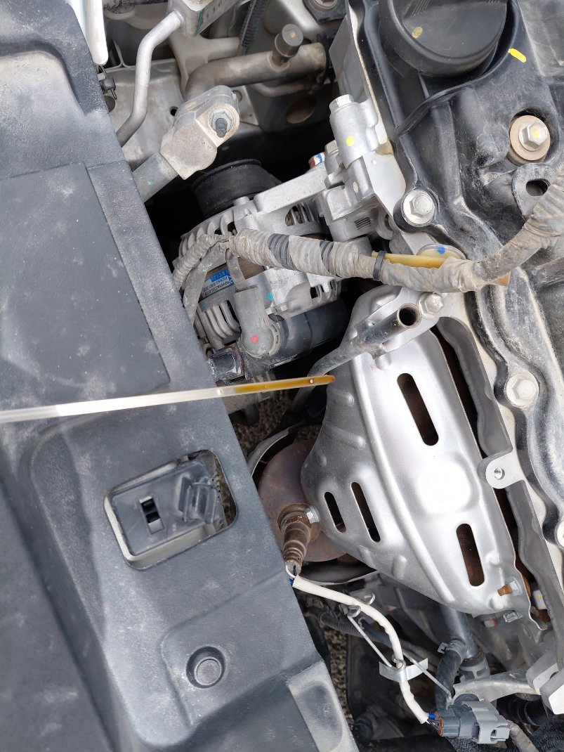 تويوتا يارس Y FLT 2022 image