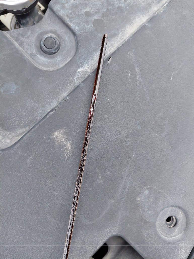 تويوتا يارس Y FLT 2022 image