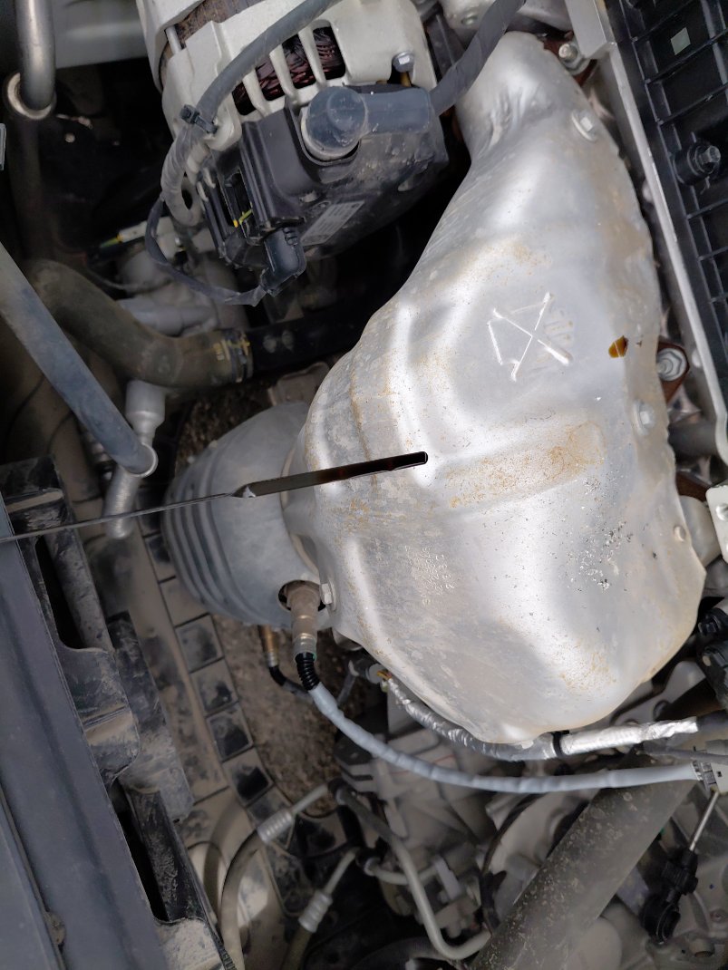 إم جي 5 عاديع 2024 image