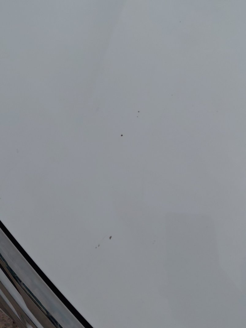 إم جي 5 عاديع 2024 image