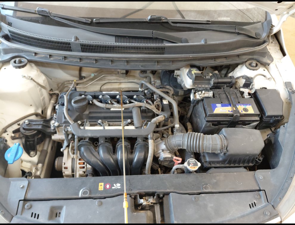 KIA Pegas LX 2021 image