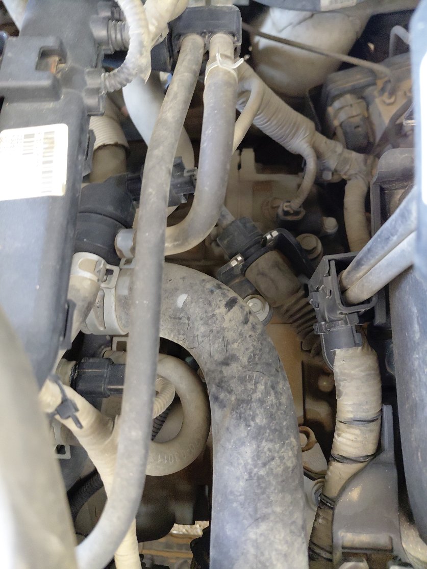 KIA Pegas LX 2021 image