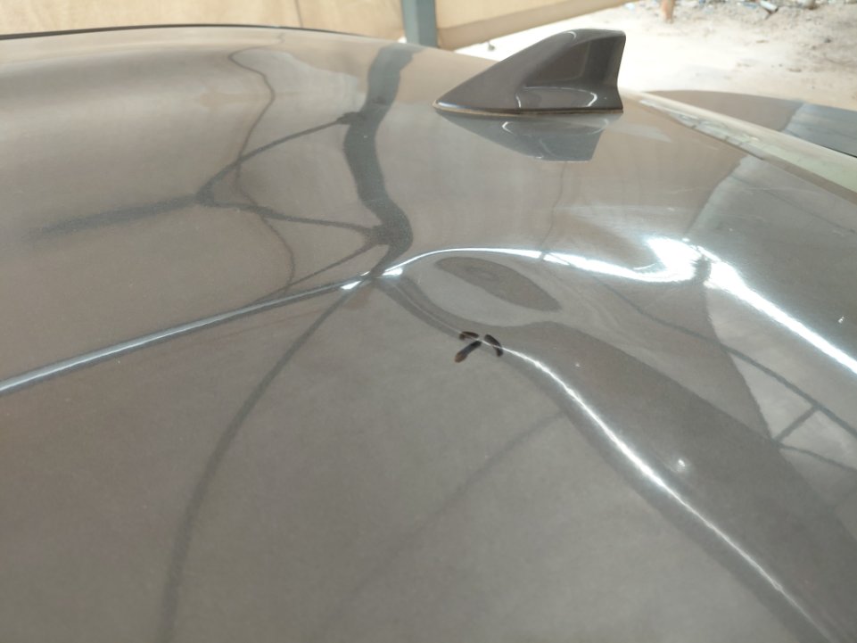Toyota Yaris Y FLT 2021 image
