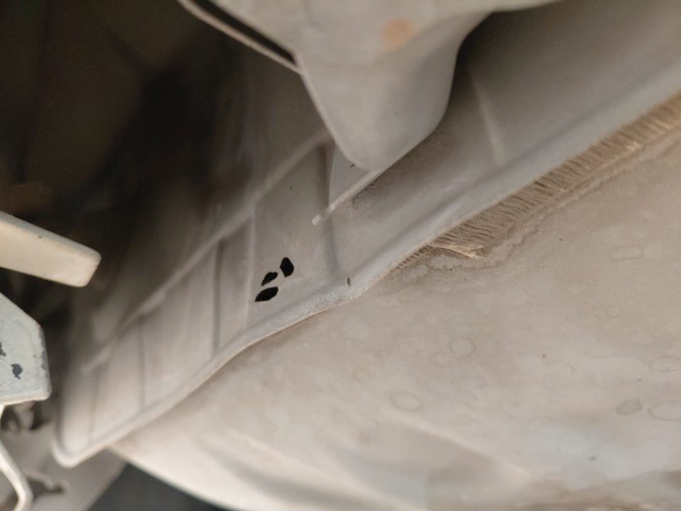 Toyota Yaris Y 2019 image