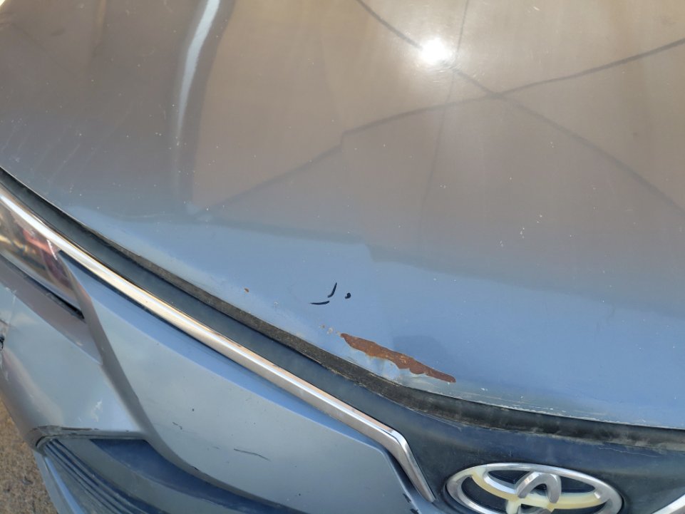 Toyota Corolla XLI 2021 image