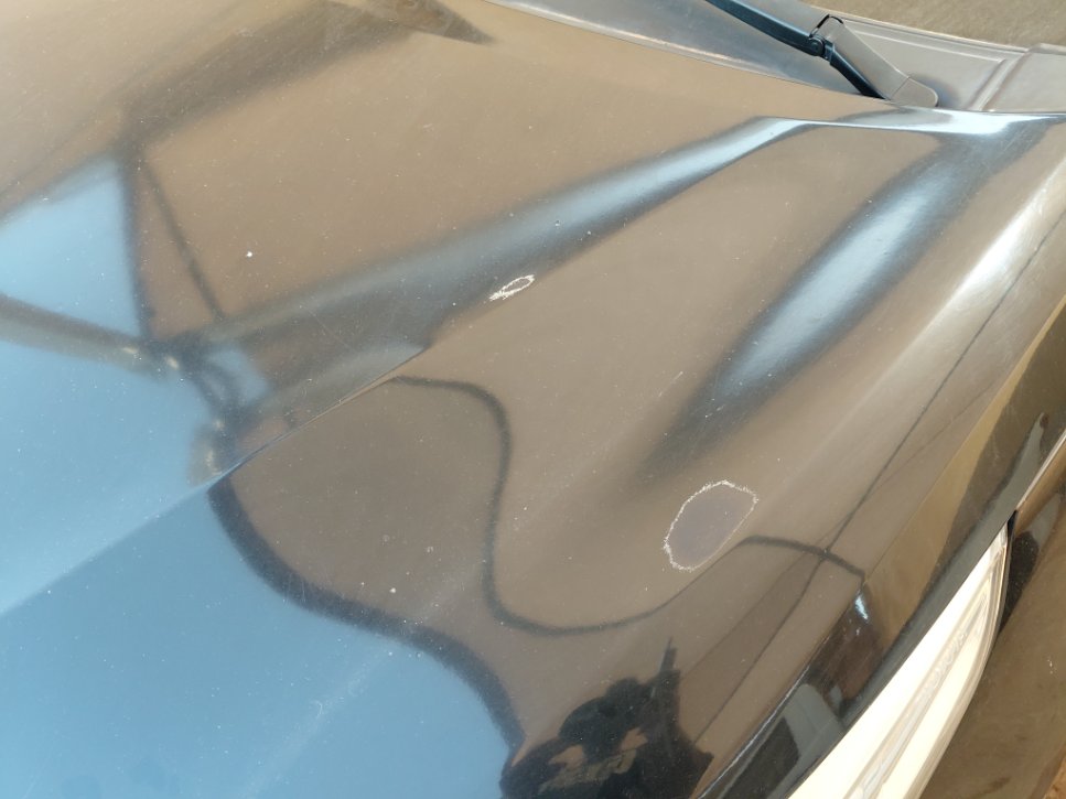 Toyota Yaris Y FLT 2021 image