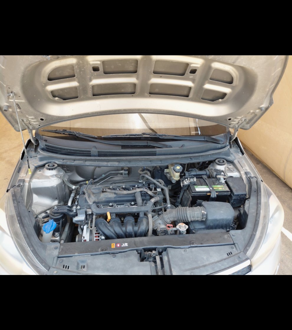 كيا بيجاس FLEET 2021 image