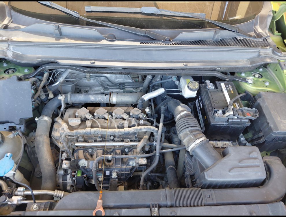 Haval Jolion بريميم رياضية 2021 image