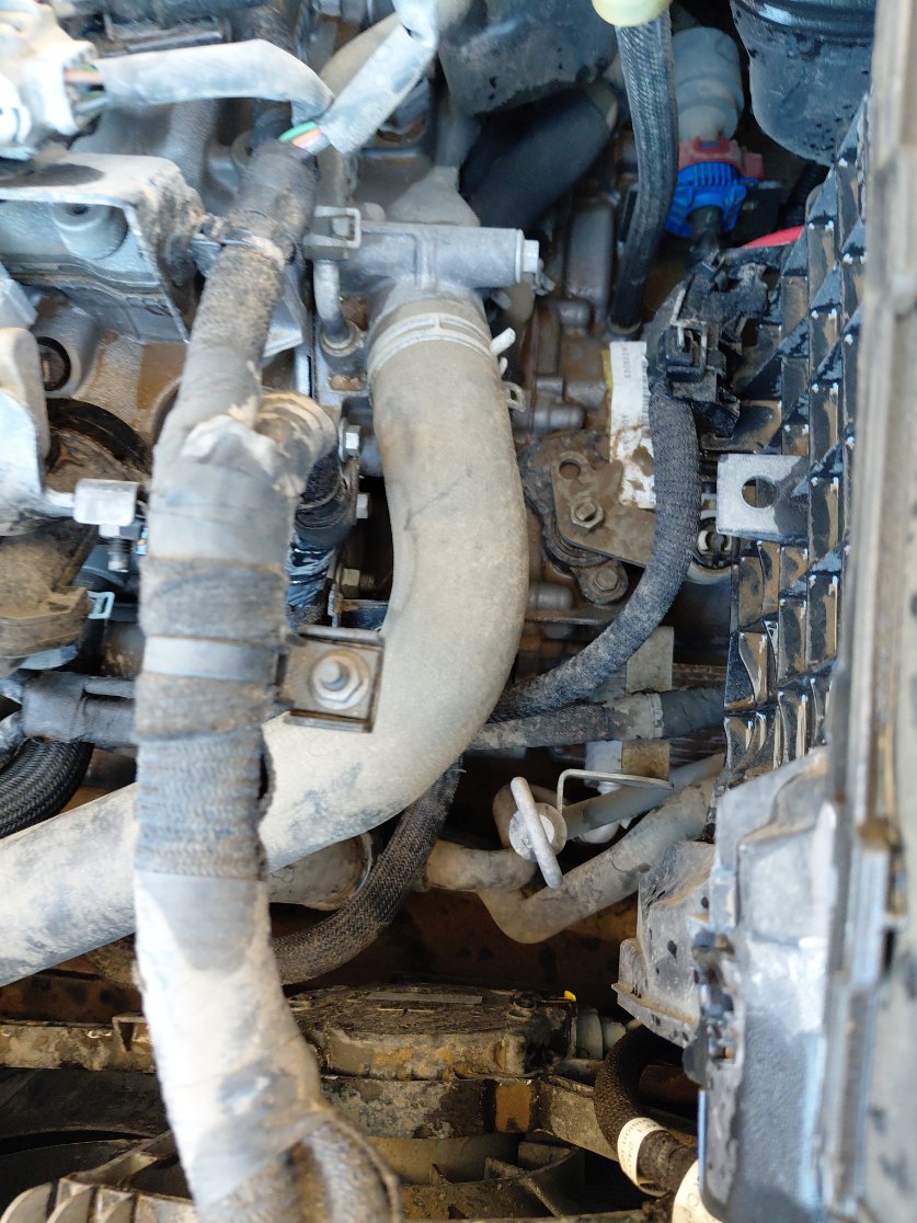 رينو ميجان STD 2021 image