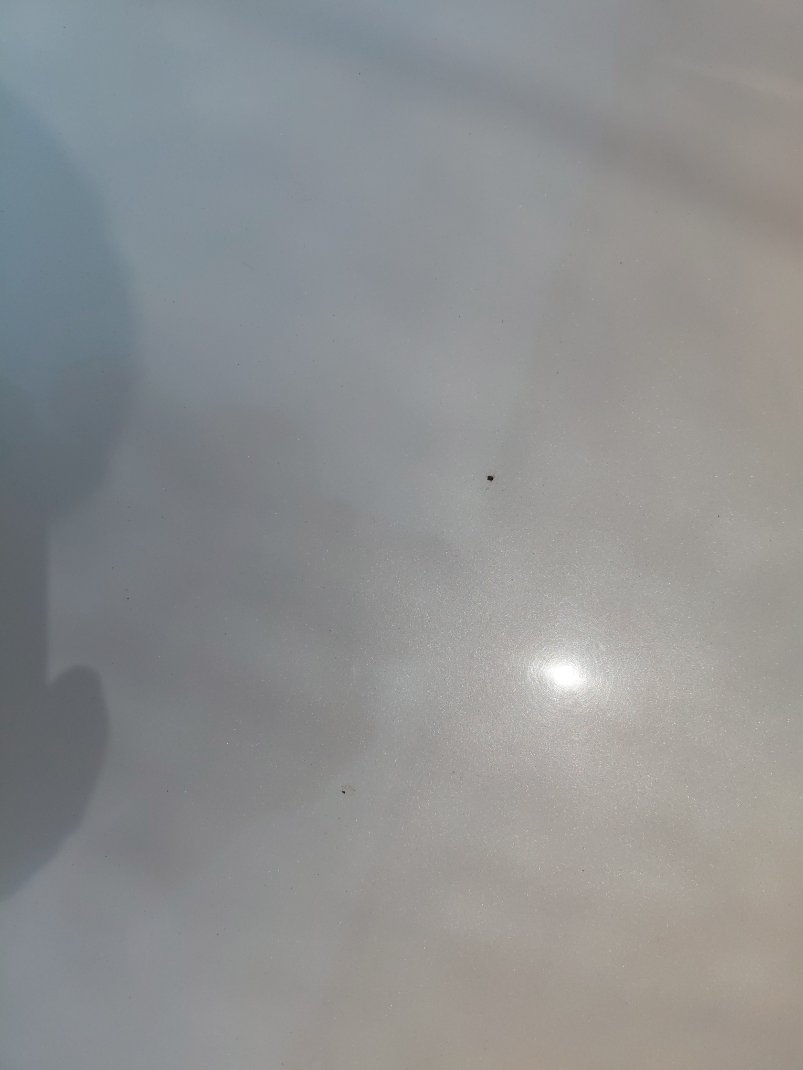 تويوتا يارس Y 2019 image