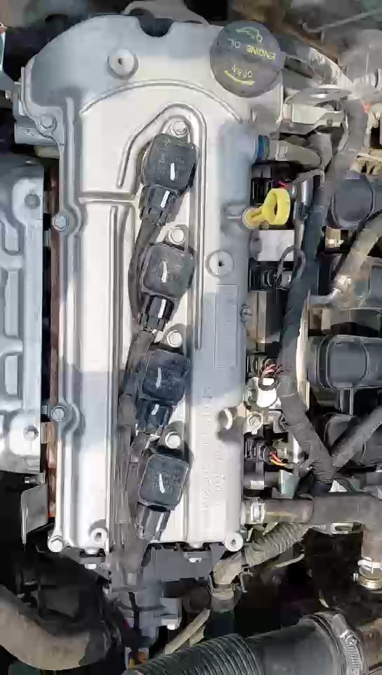 شانجان السفن  2024 video