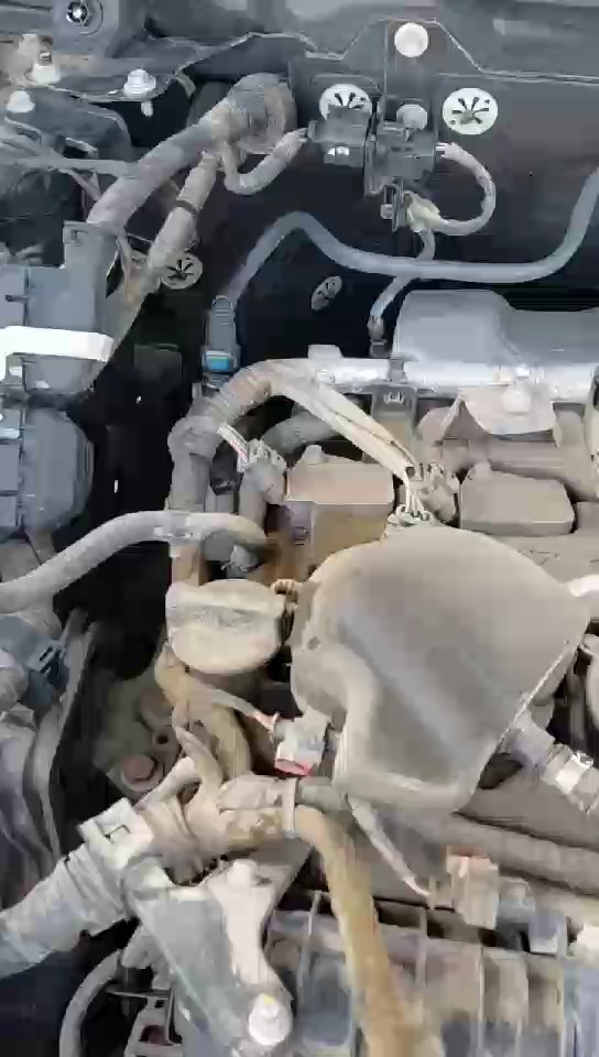 هافال H6  2023 video
