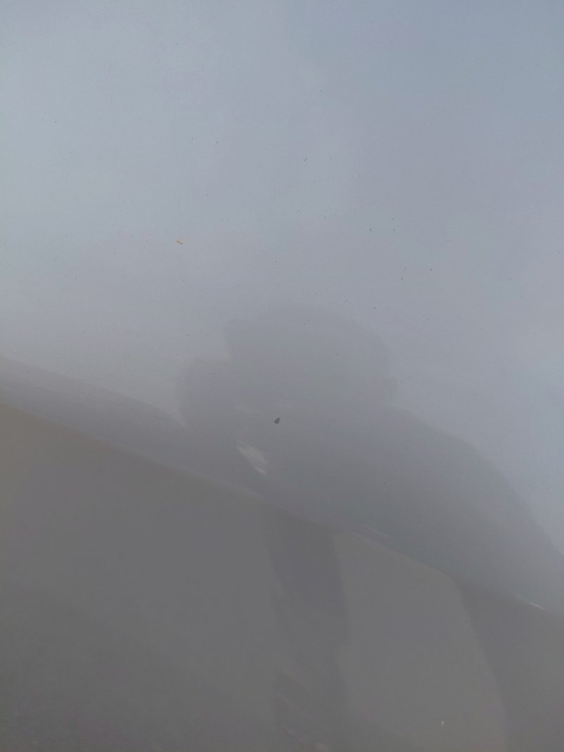 تويوتا كورولا  2024 image